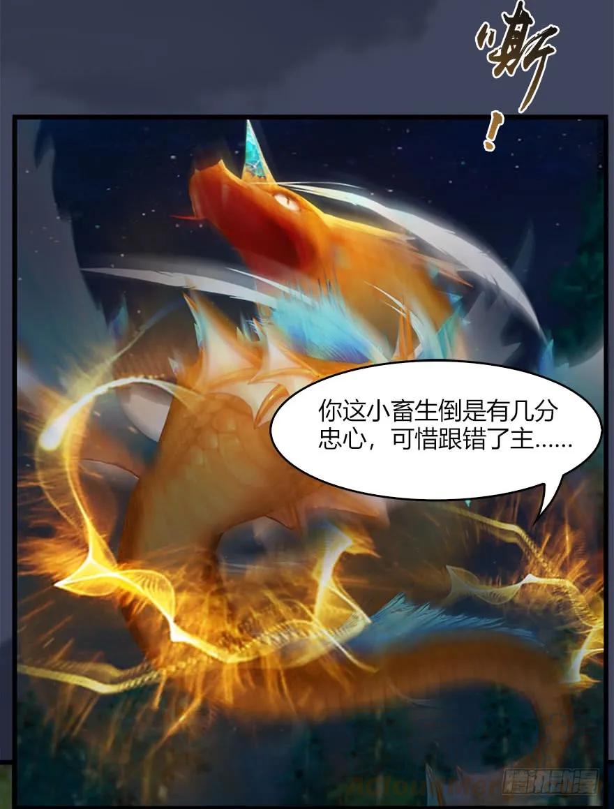 071 毛线护主36