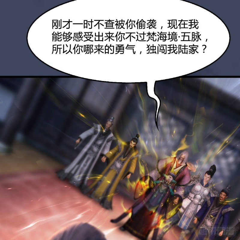 第292话：夜袭陆家43