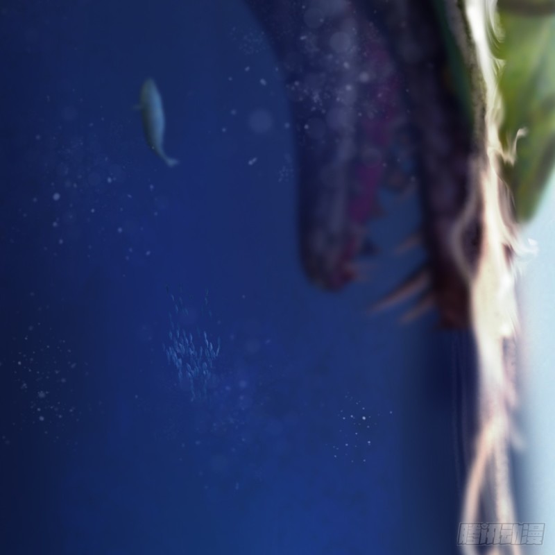 第271话：七星玄兽24