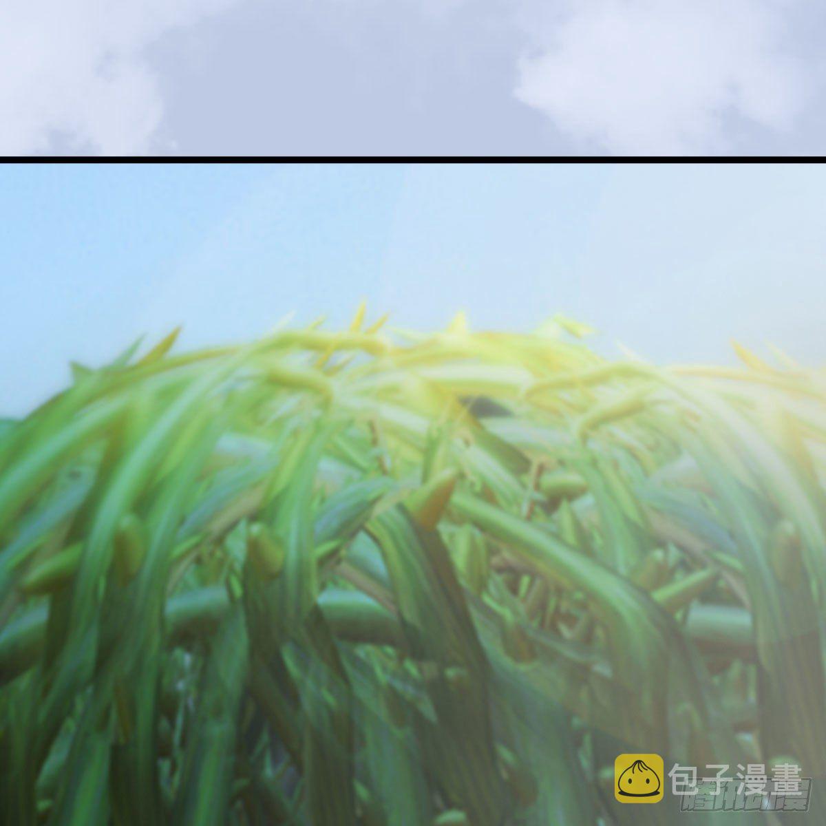 第535话：冬至雪突破32