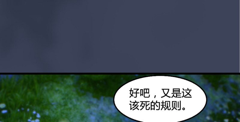 第201话：西泽尔再现20