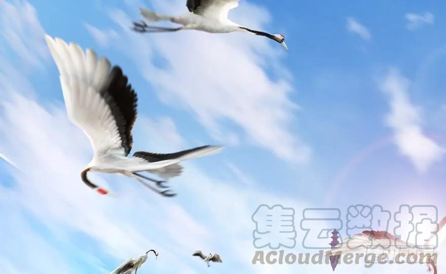 149 徐天成VS唐江4