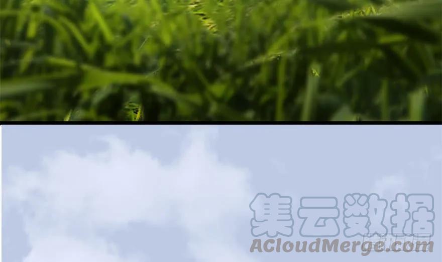 094 白堇的实力84