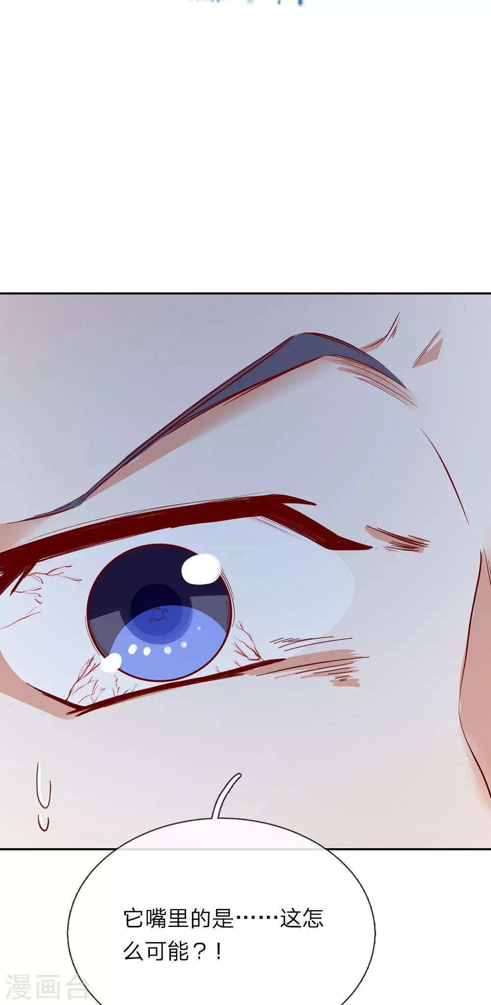 第91话 白猫化形，  震慑四方16