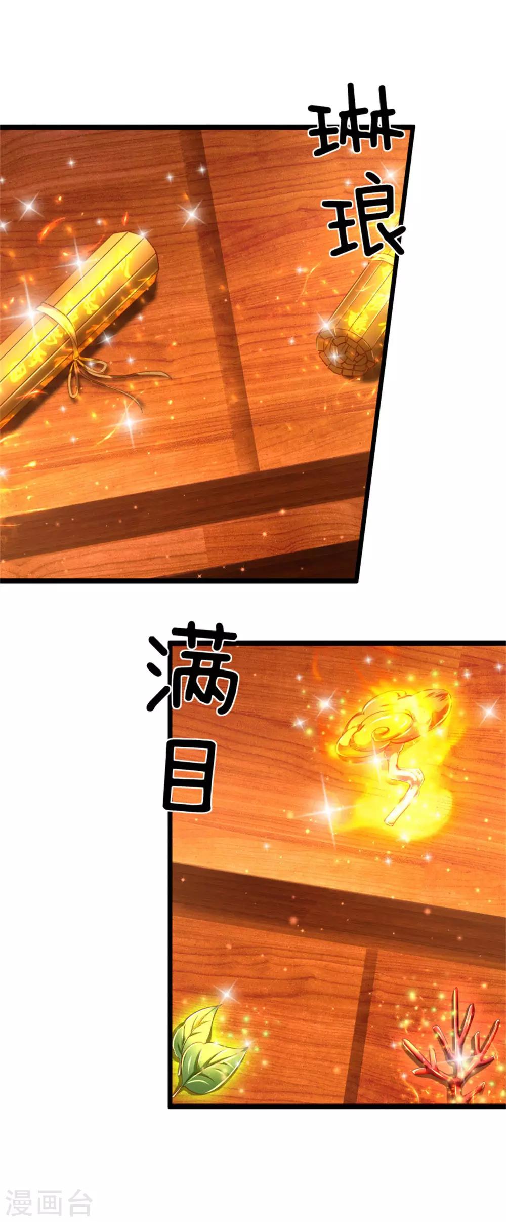 第288话 珍宝阁内，琳琅满目4