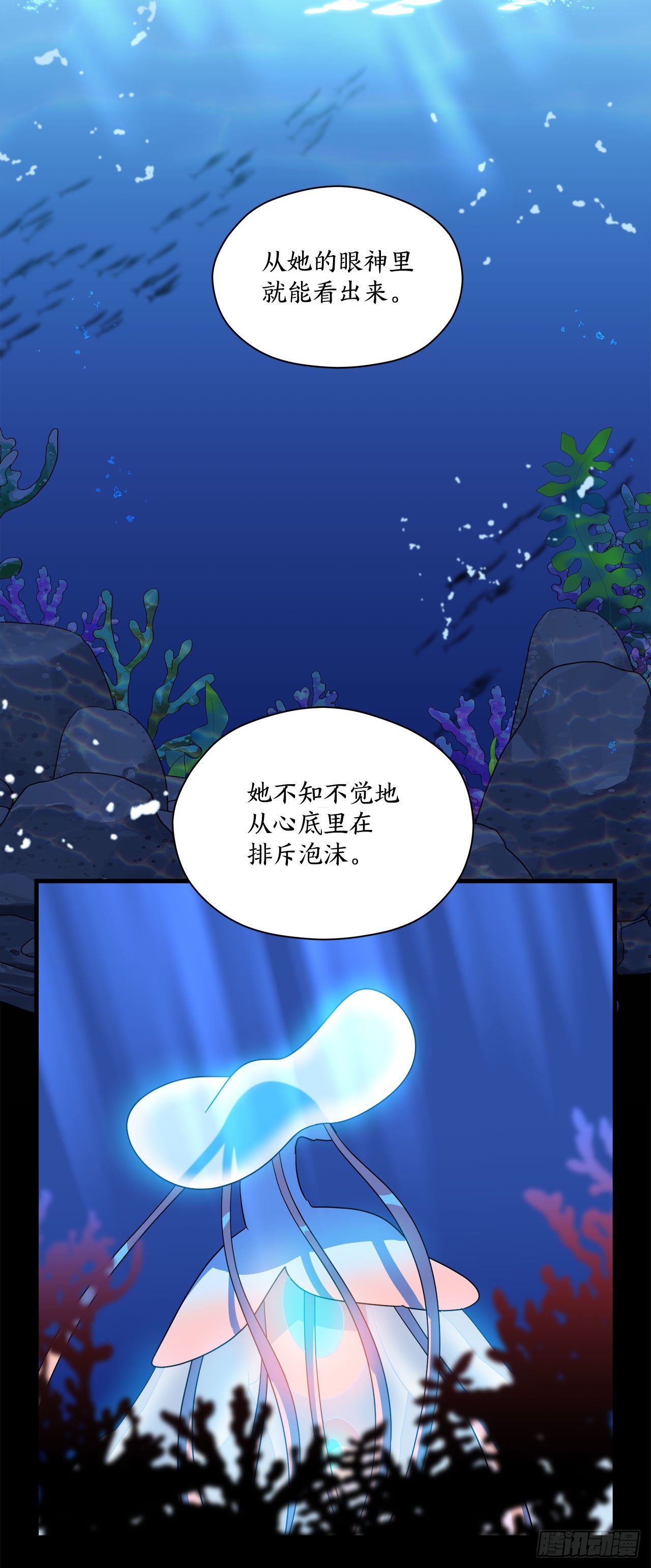 11.波浪之龙48