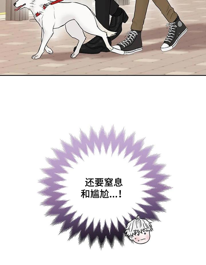 第61章：出去逛一逛21