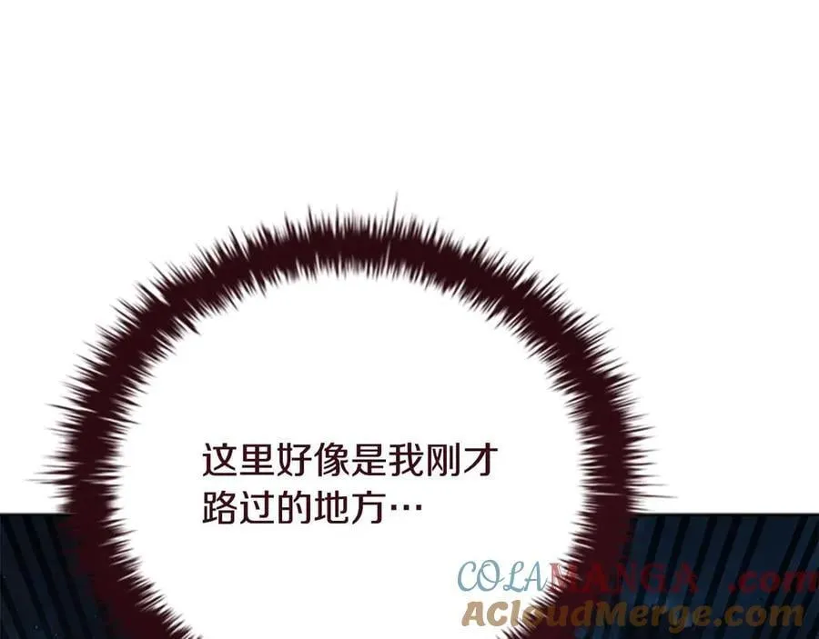第65话 故布疑阵212