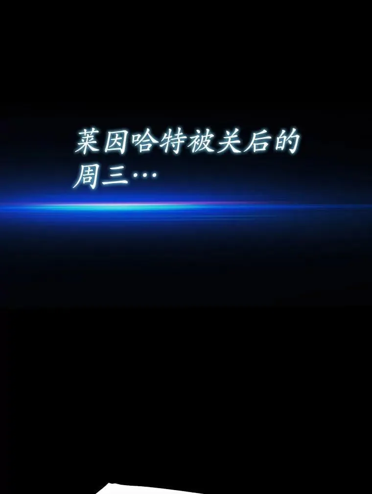 77.找到莱因哈特47