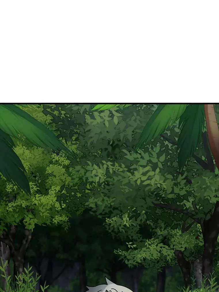 54.找到溪谷11