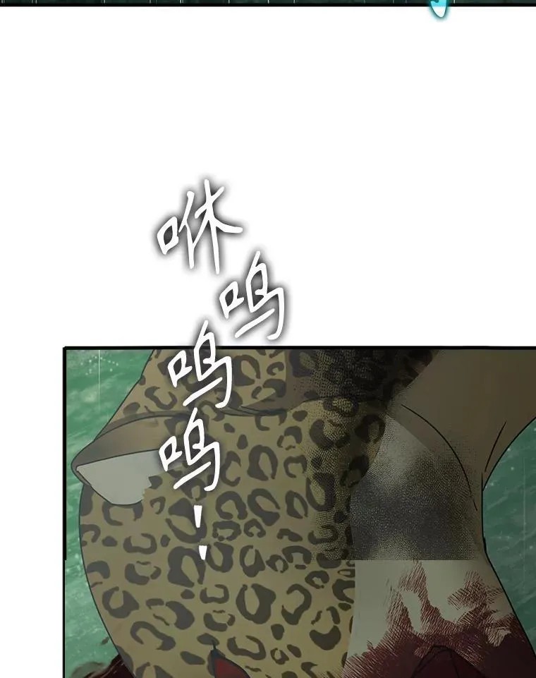 57.遇见美洲豹43