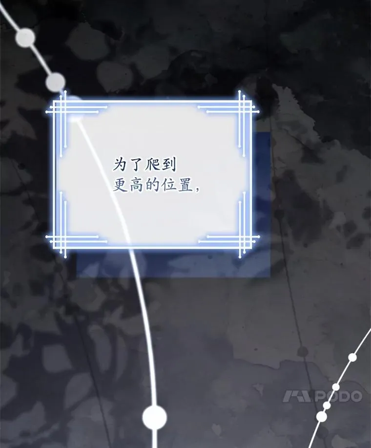 74.为他撒谎131