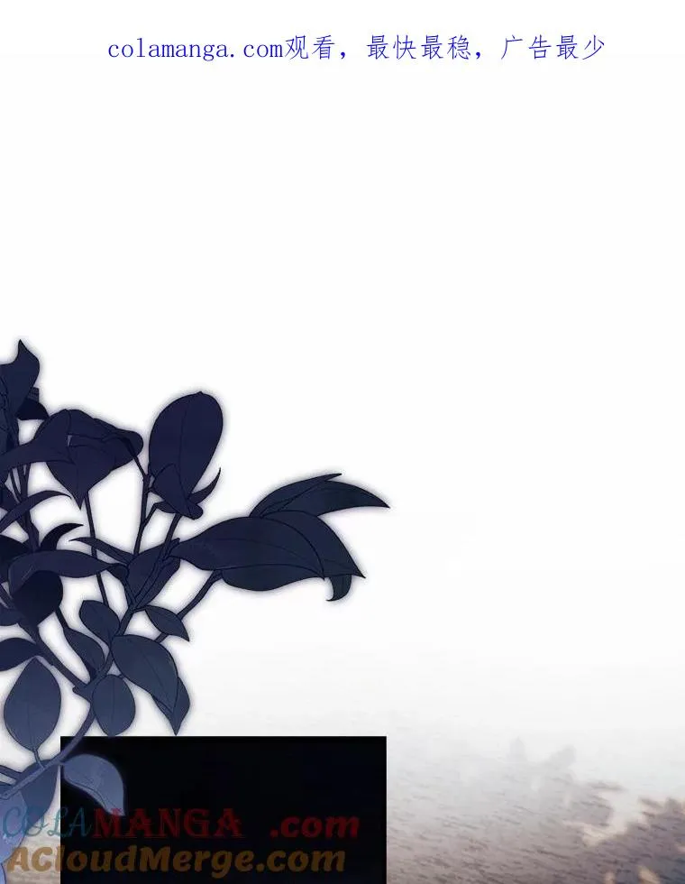 84.教皇露面0