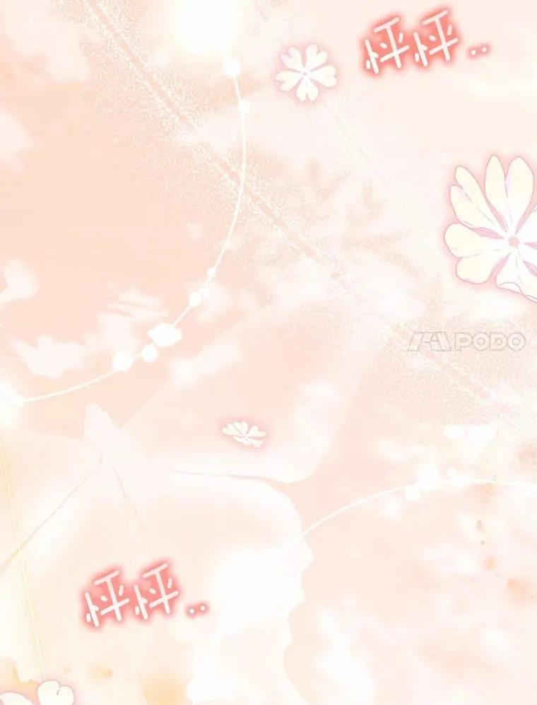 92.教皇的决定146