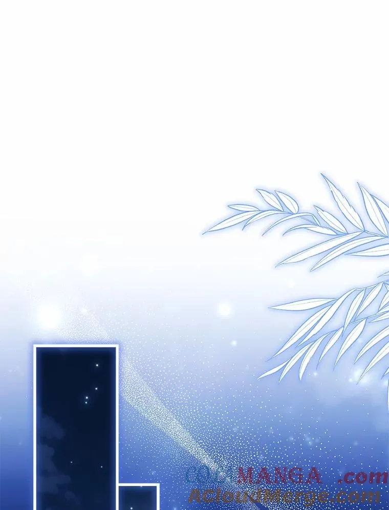 92.教皇的决定104