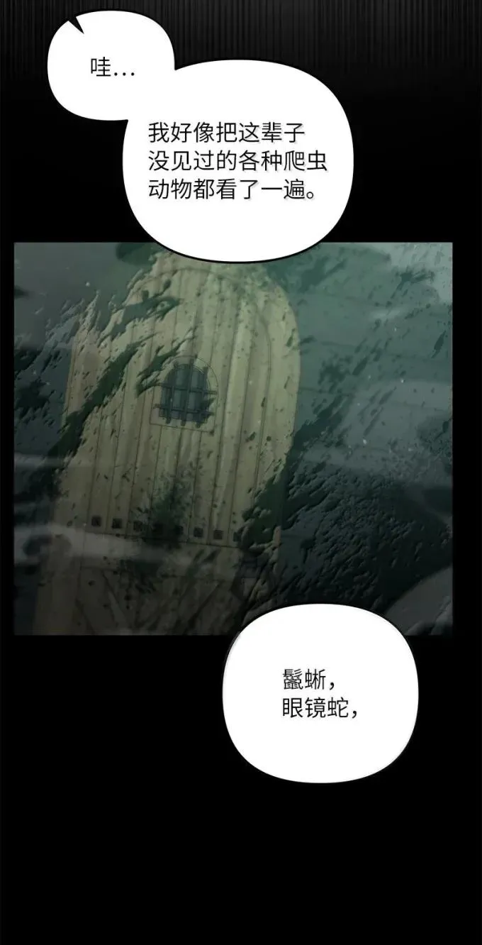 82 怪物潮73