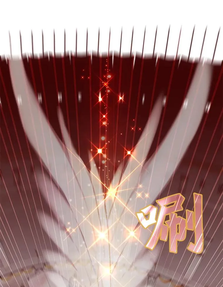 25.净化75
