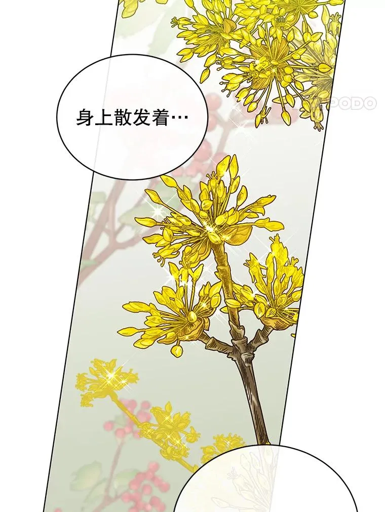 71.马车107