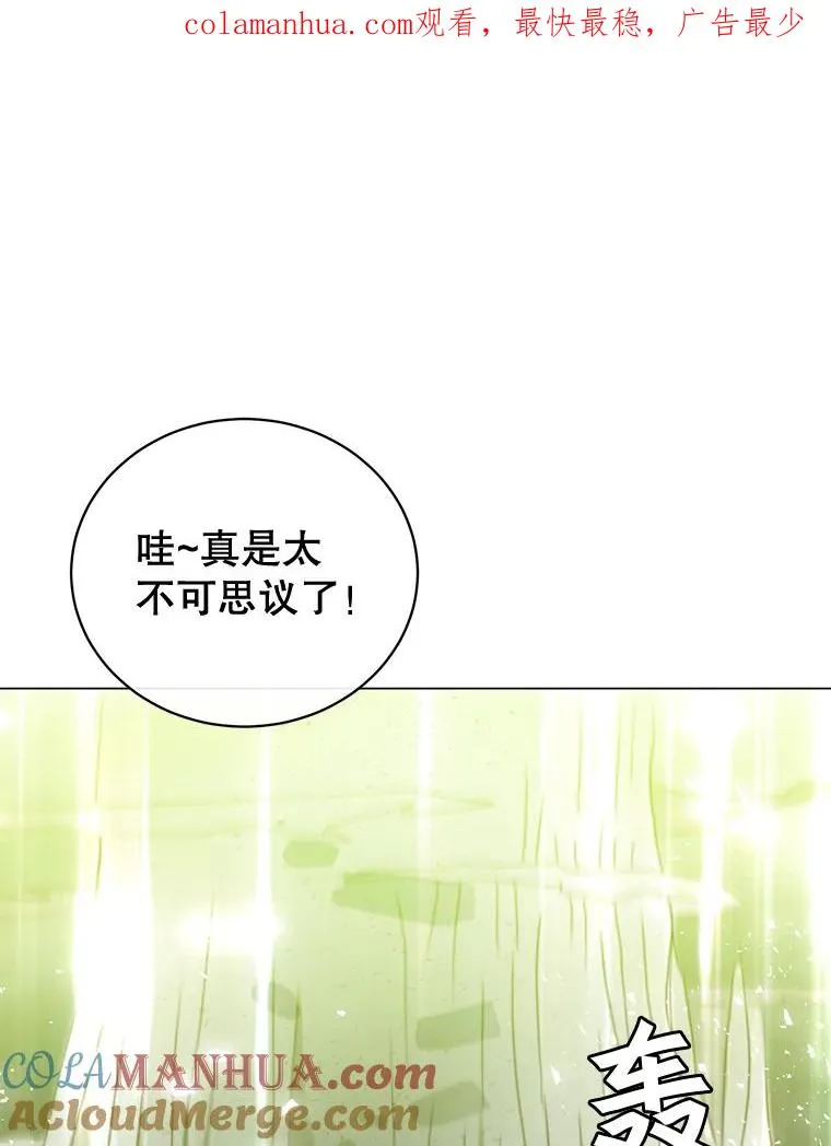 25.净化0