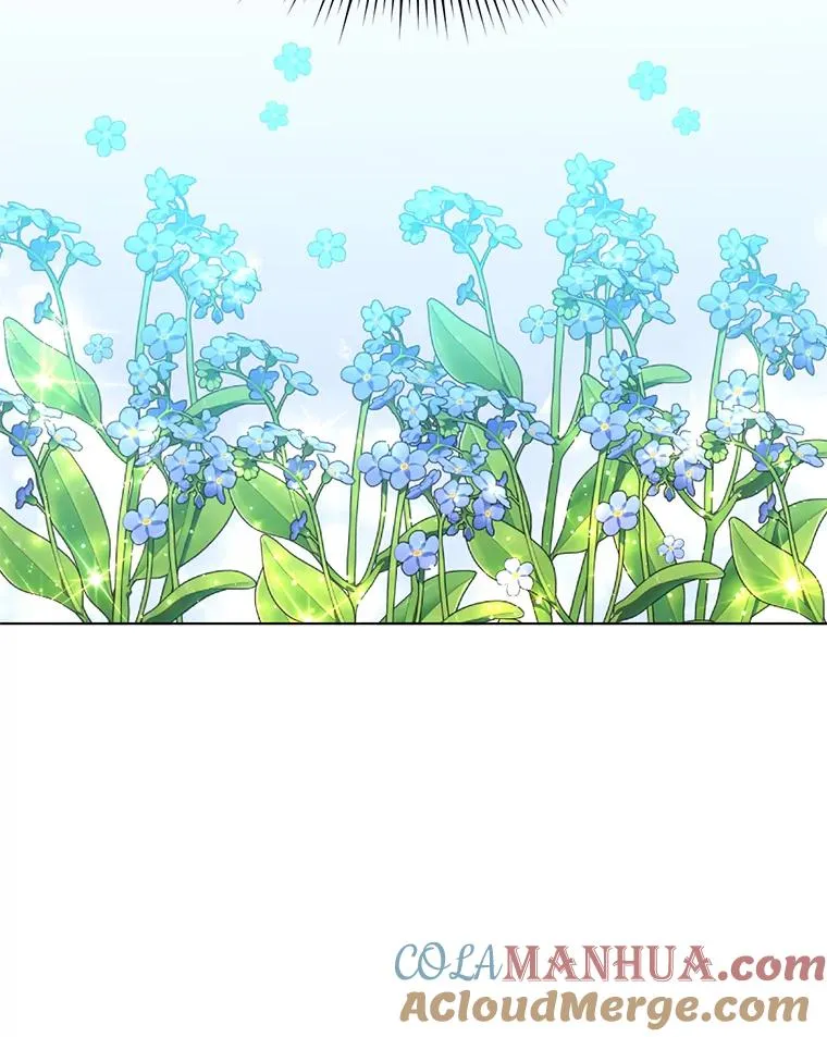 71.马车56