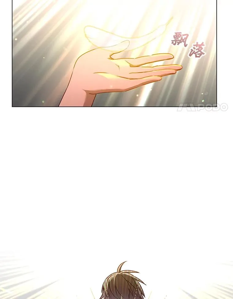 25.净化87