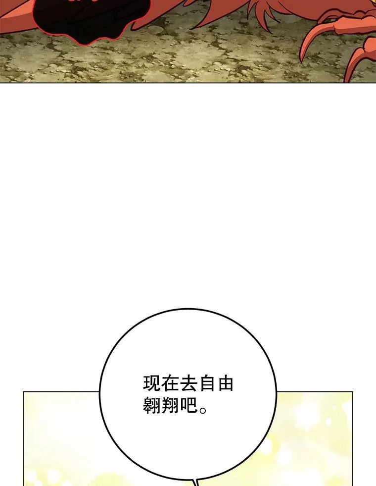 171.驯服朱雀97