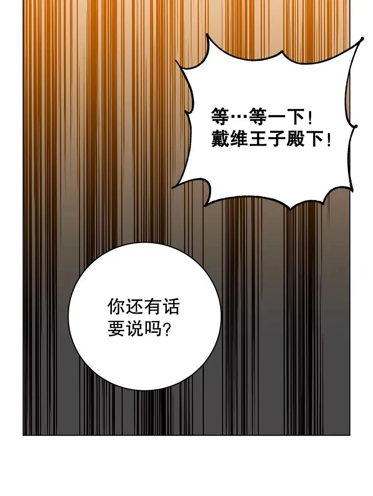 161.戴维的计划51