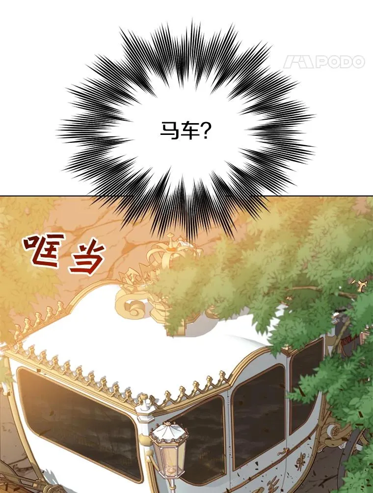 71.马车38