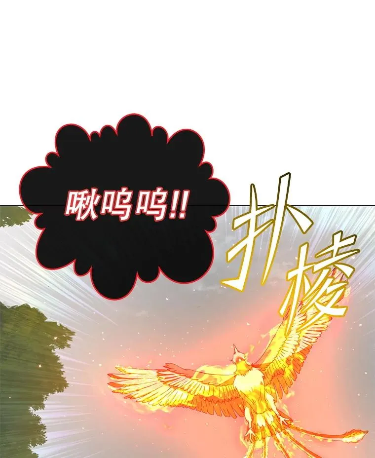 171.驯服朱雀101