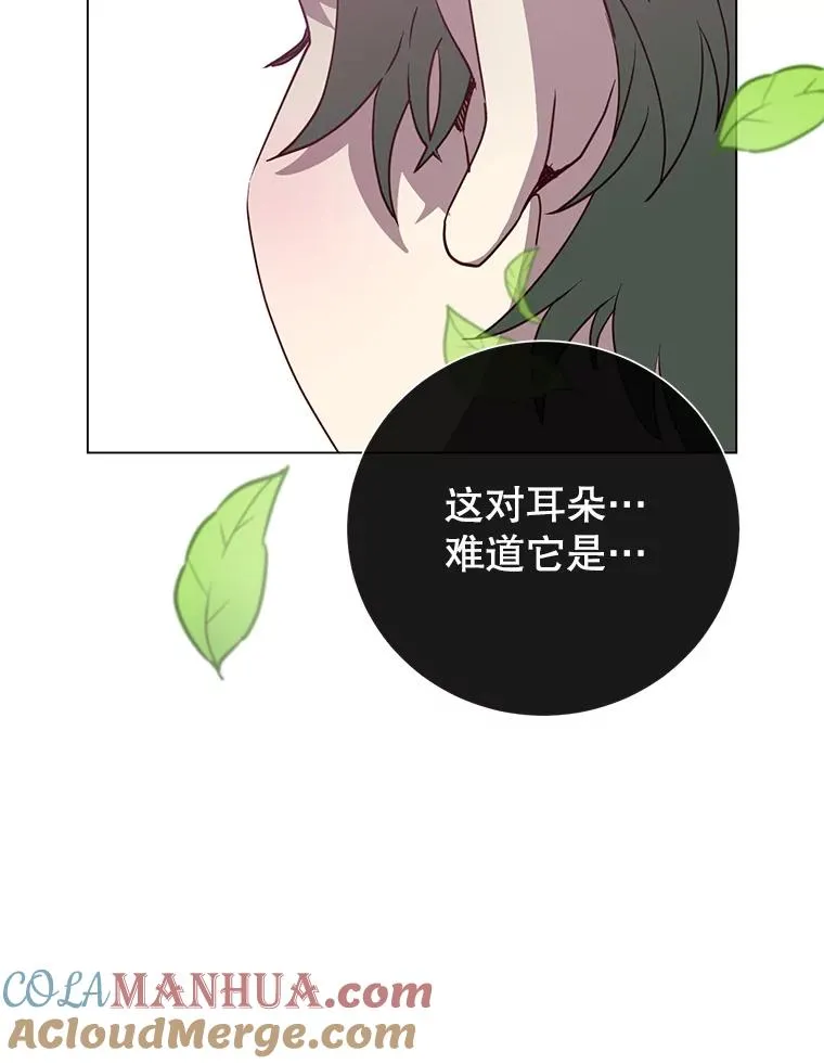 135.混血妖精108