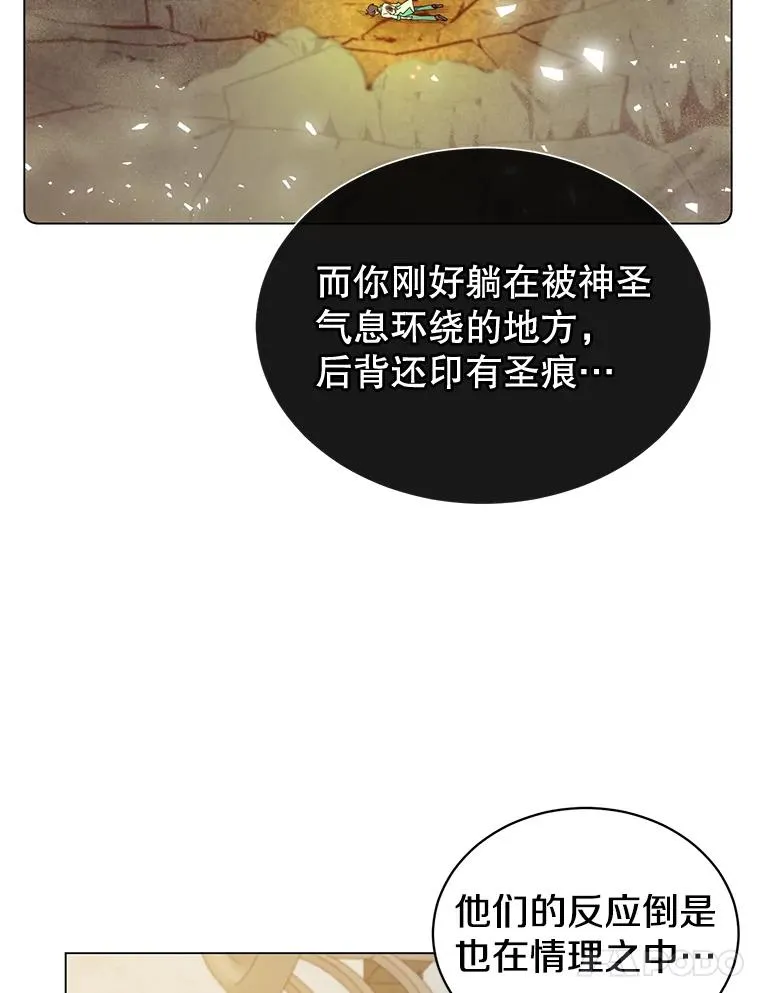 26.圣痕26