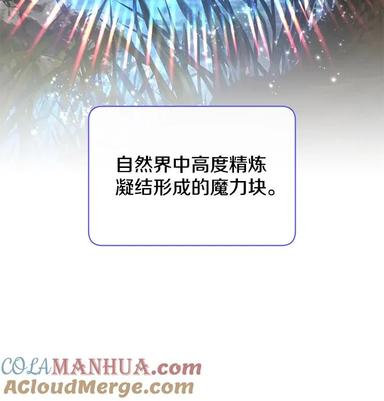 35.诅咒的核56