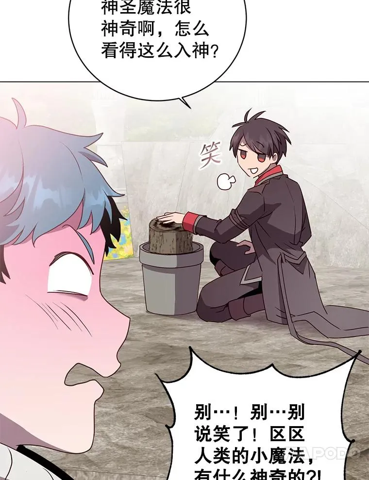 135.混血妖精19