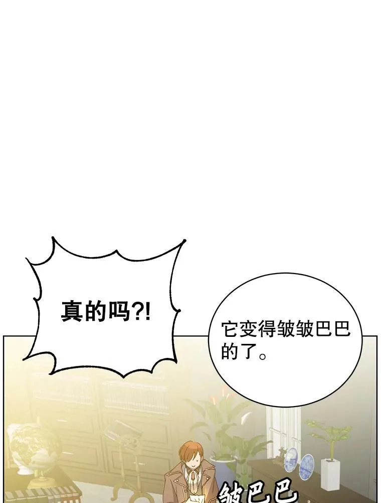 99.红魔石81