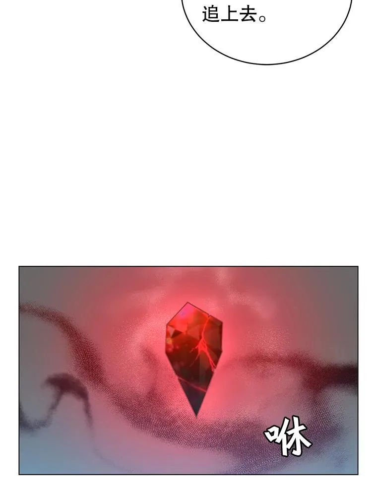 25.净化11