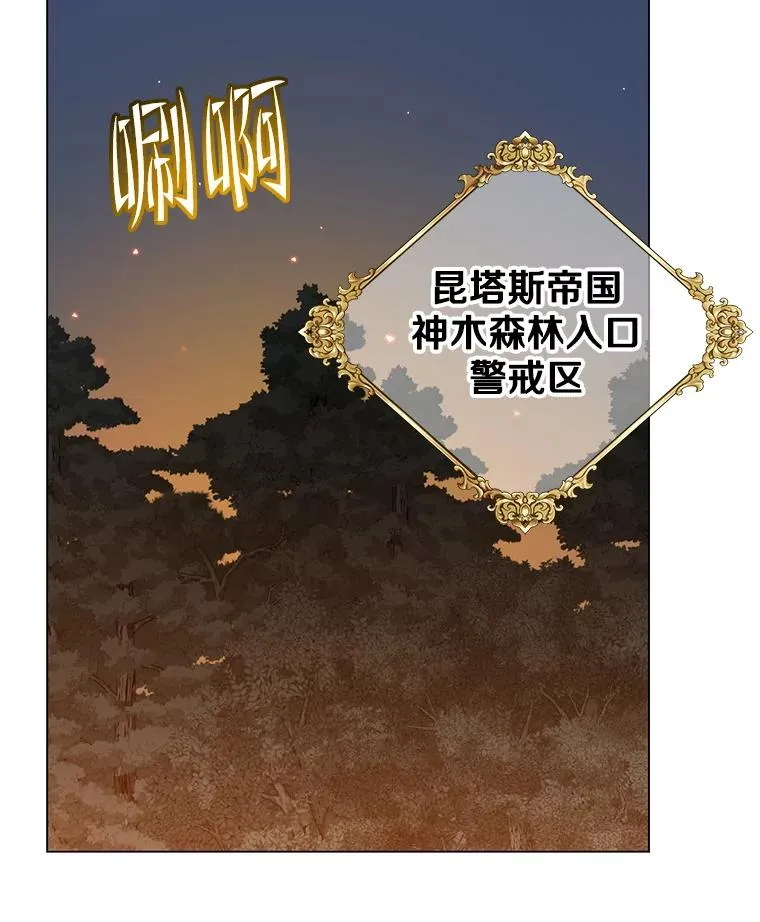 182.神木圣地23