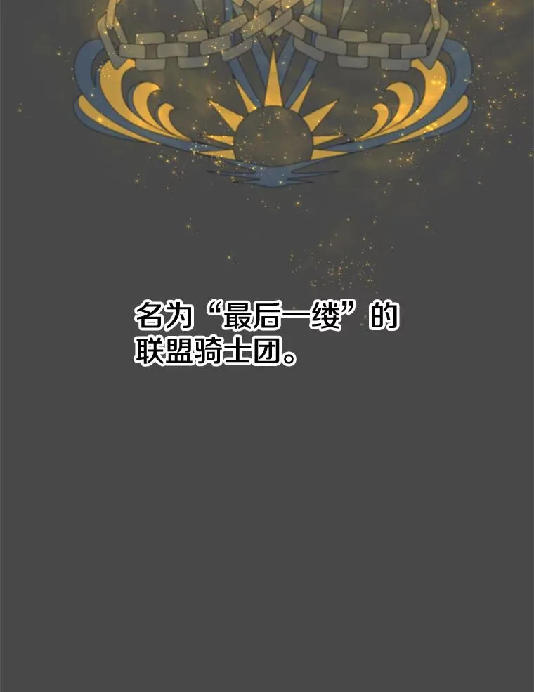 82.秘密骑士团11