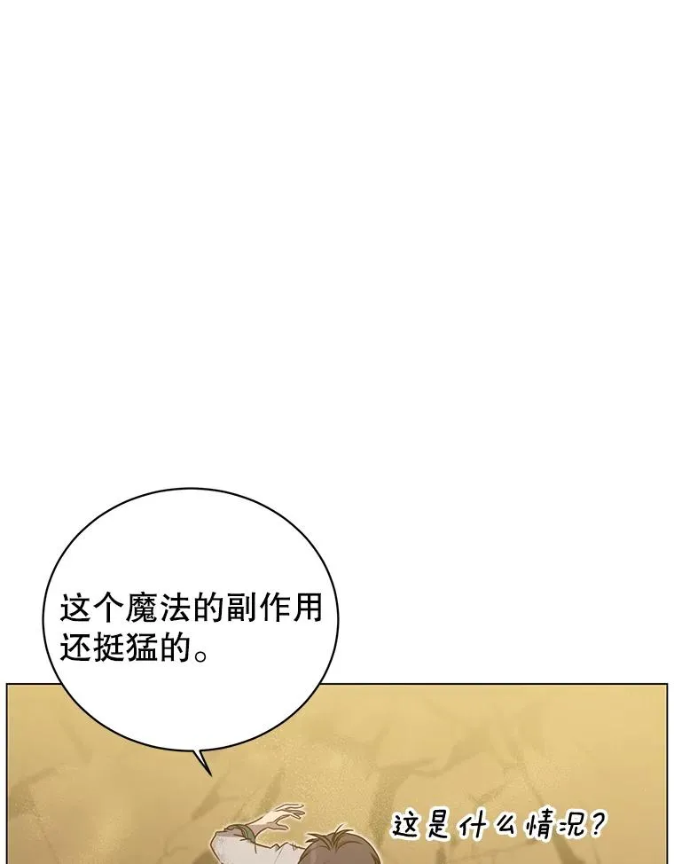 25.净化93