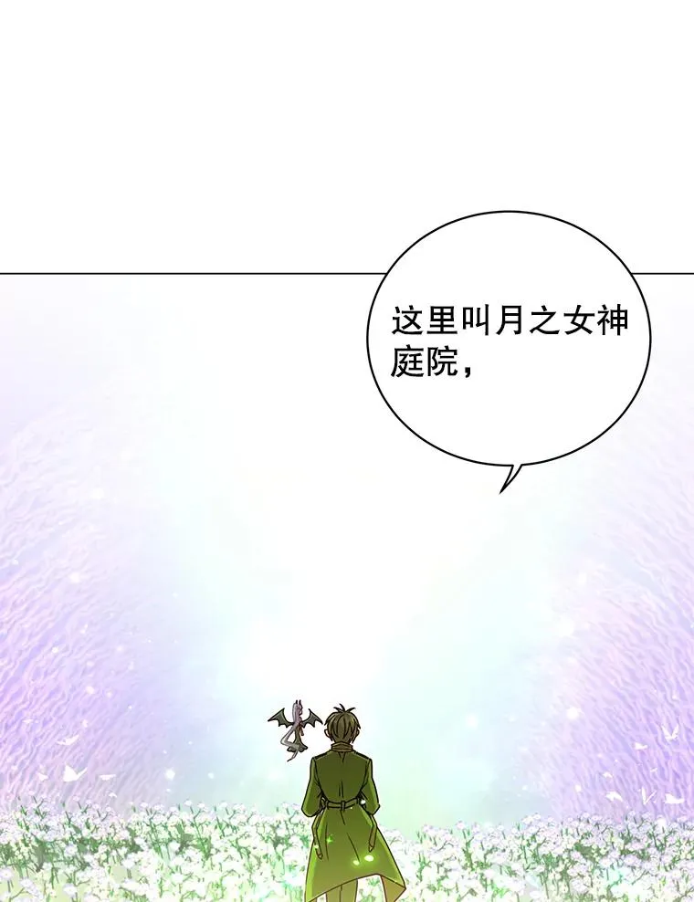 38.得到月之草10