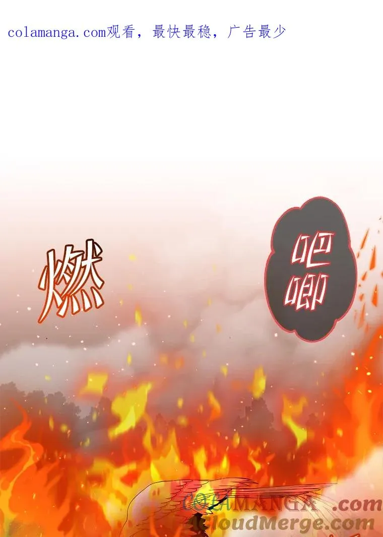 172.火鸡闯祸0
