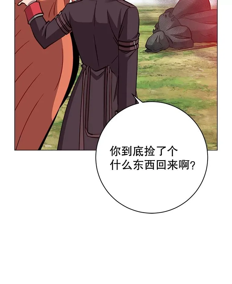 171.驯服朱雀110