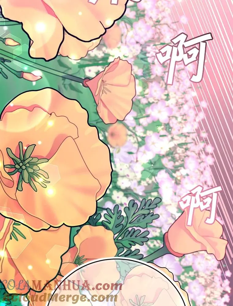 138.诺阿斯出现88