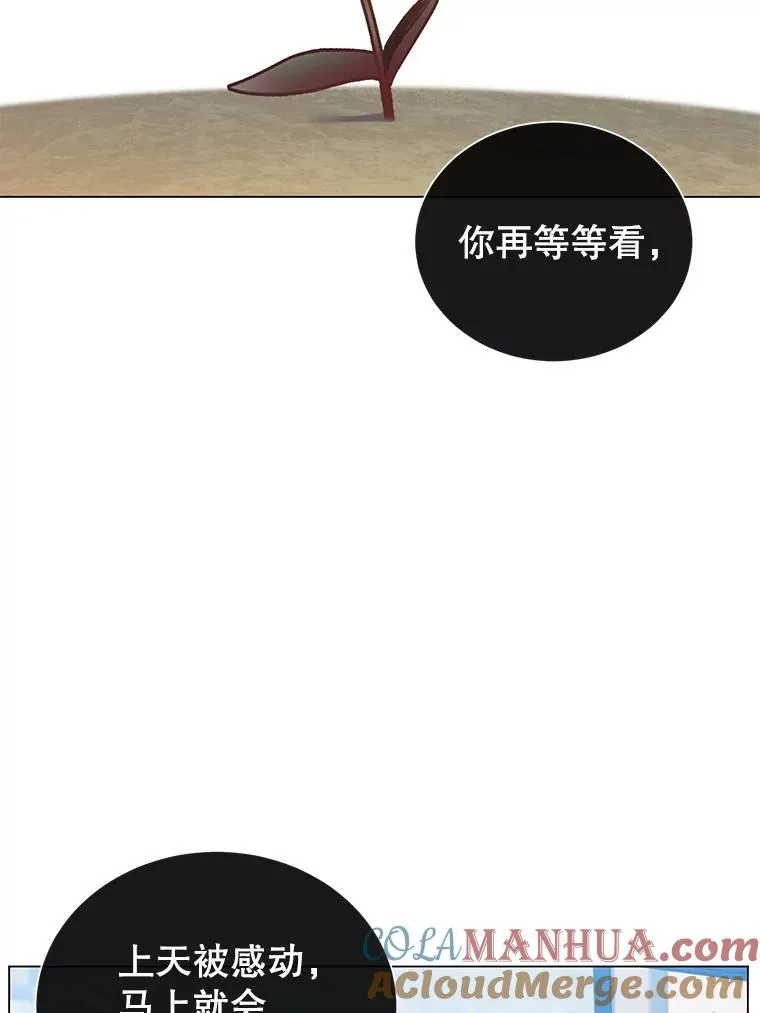 38.得到月之草88