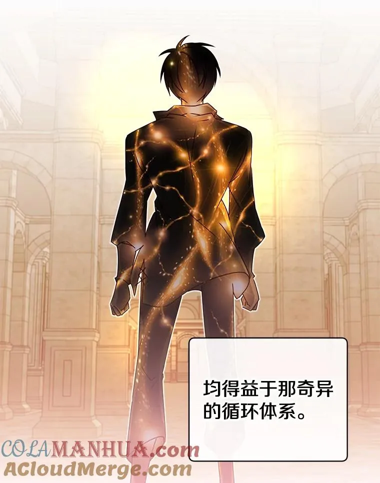 25.净化24