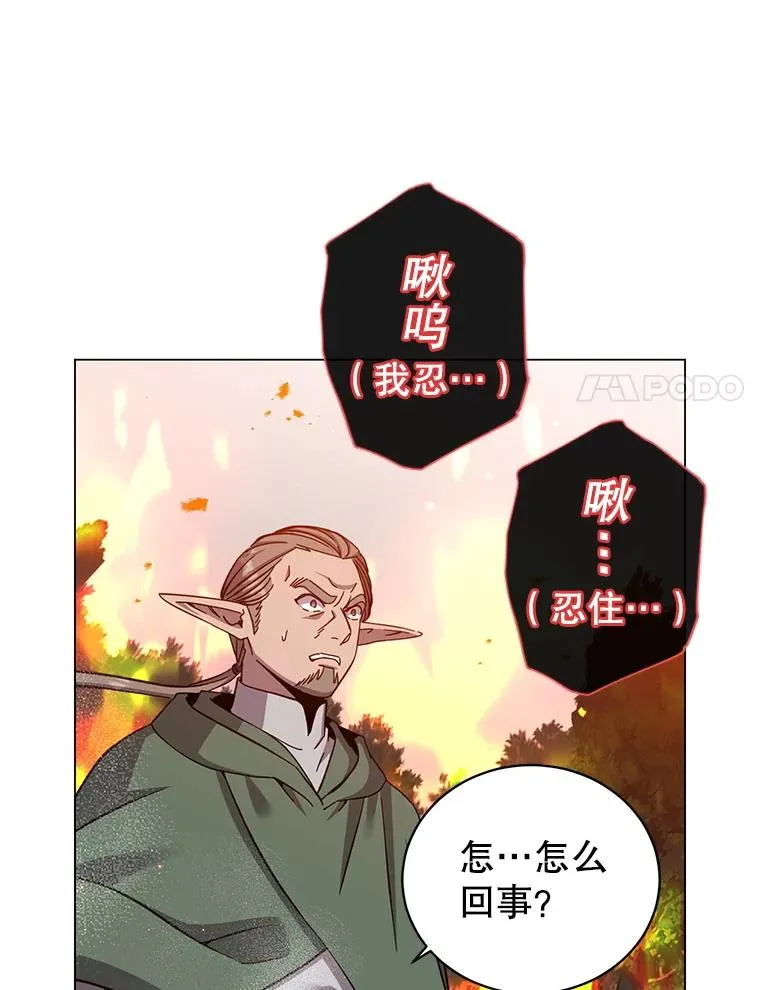 172.火鸡闯祸29