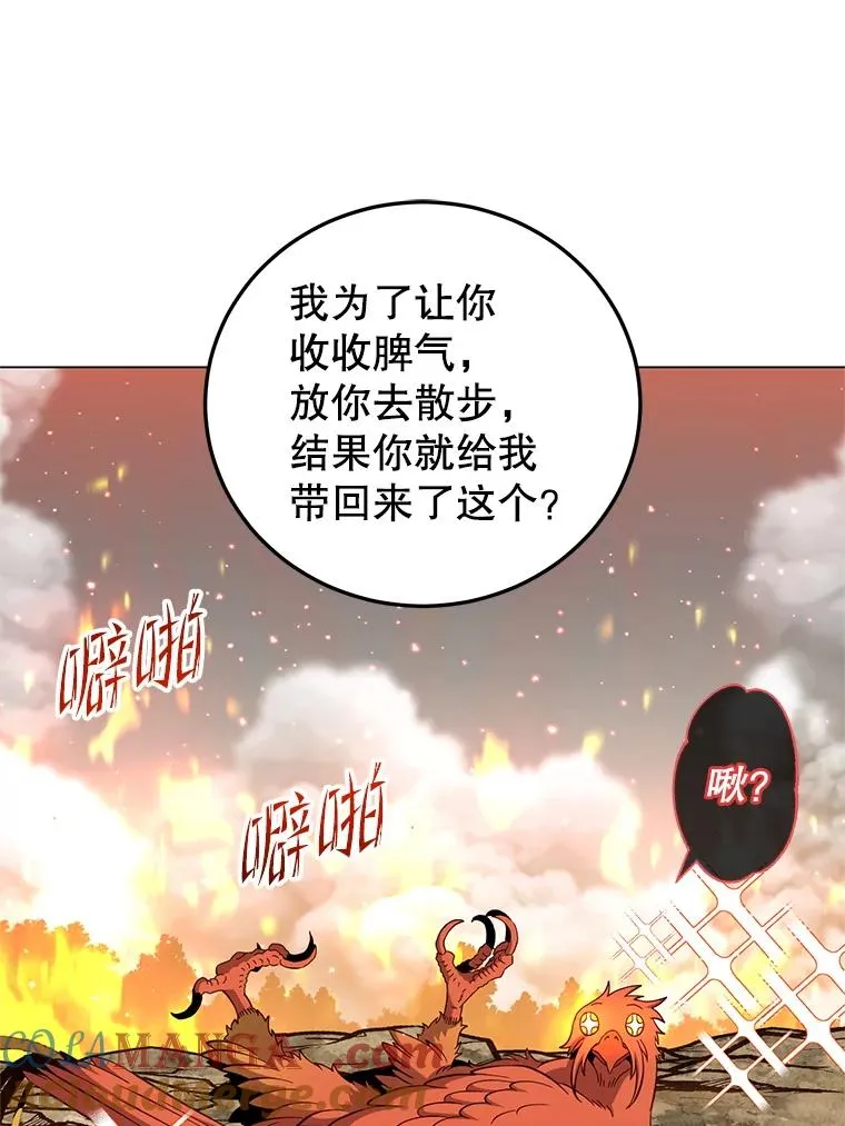 172.火鸡闯祸44