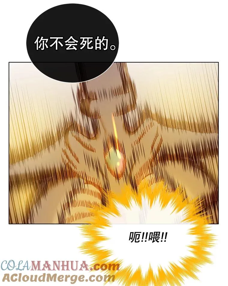 25.净化72