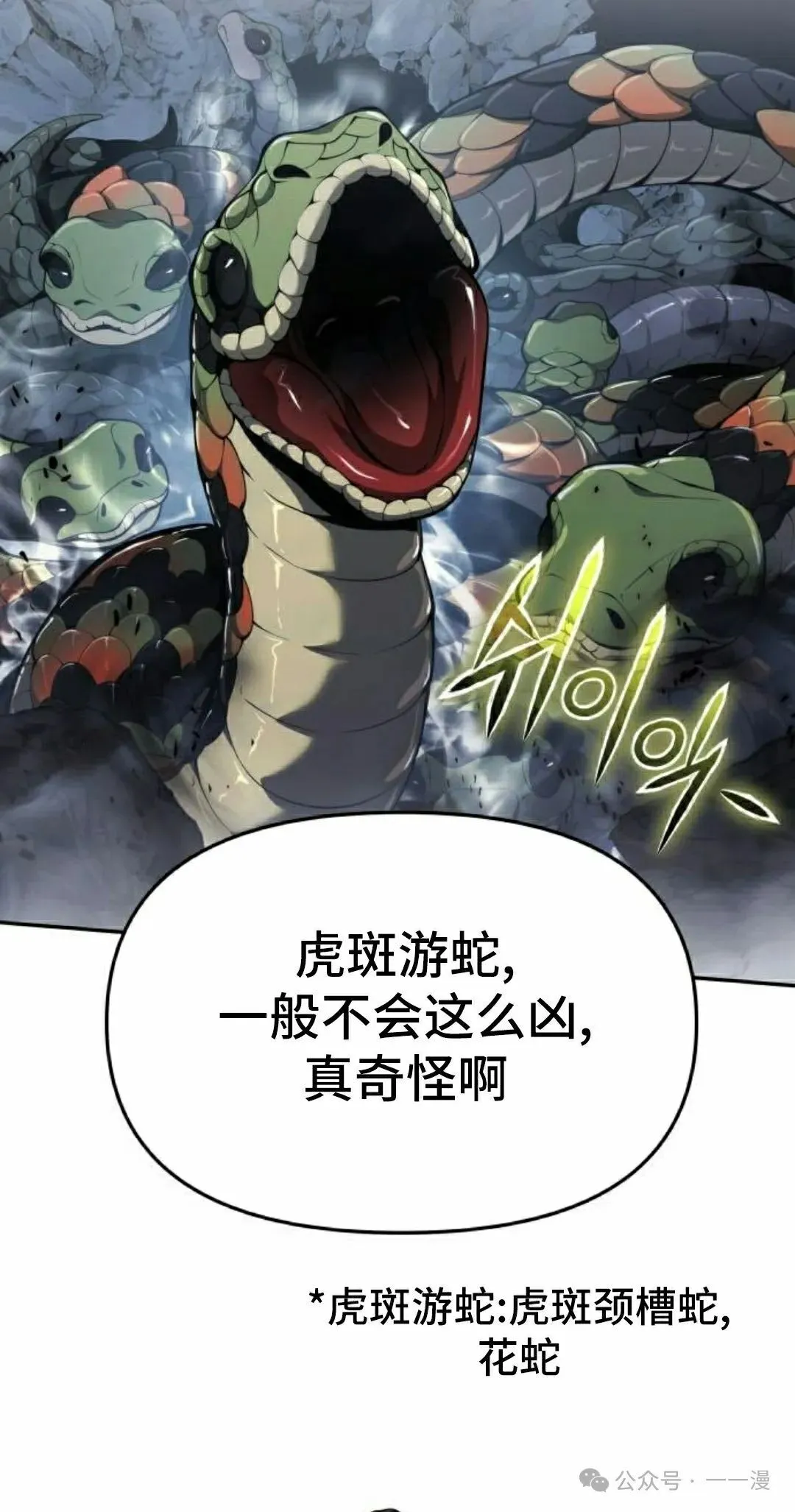 第20集41