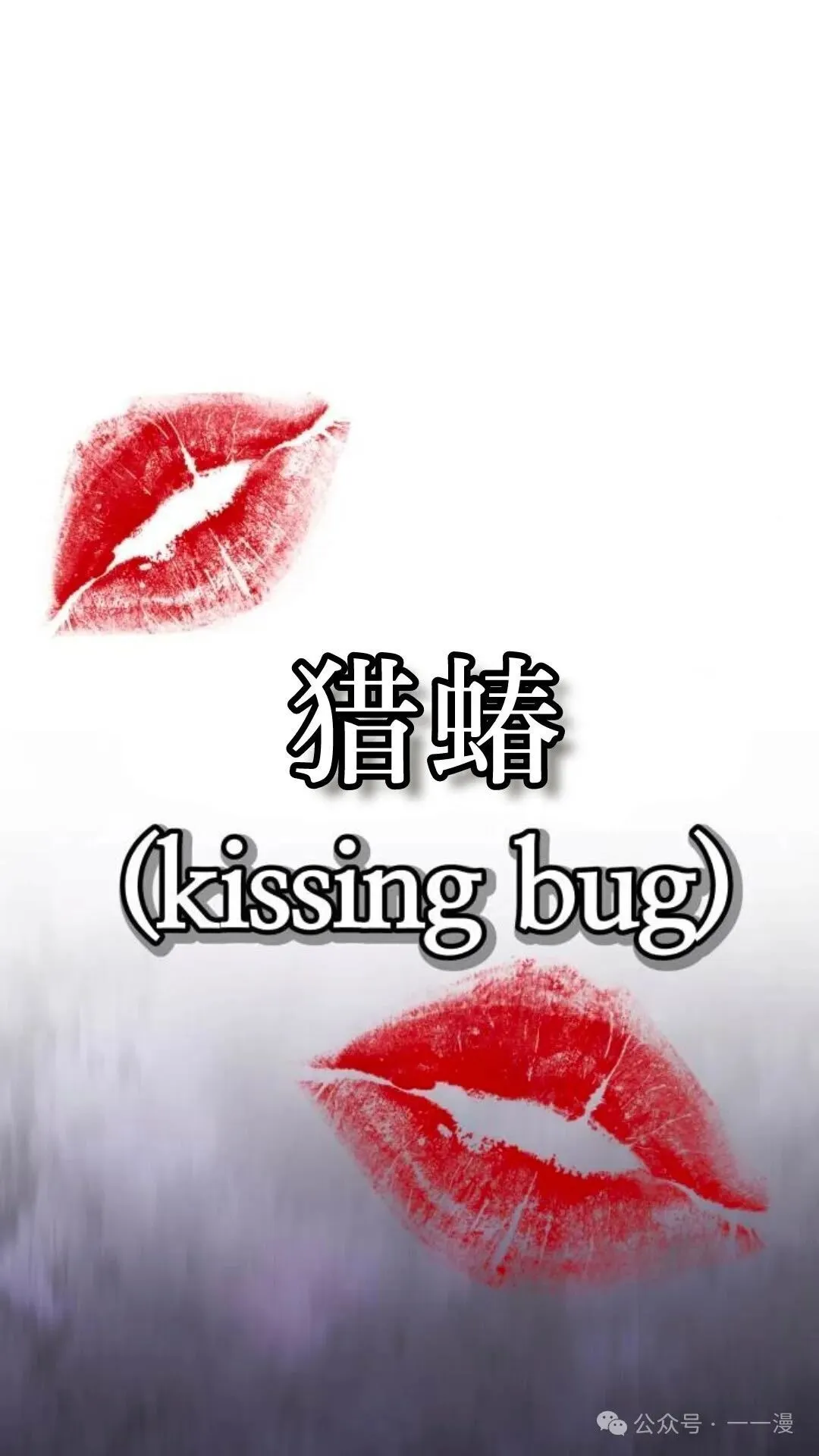 第6集19
