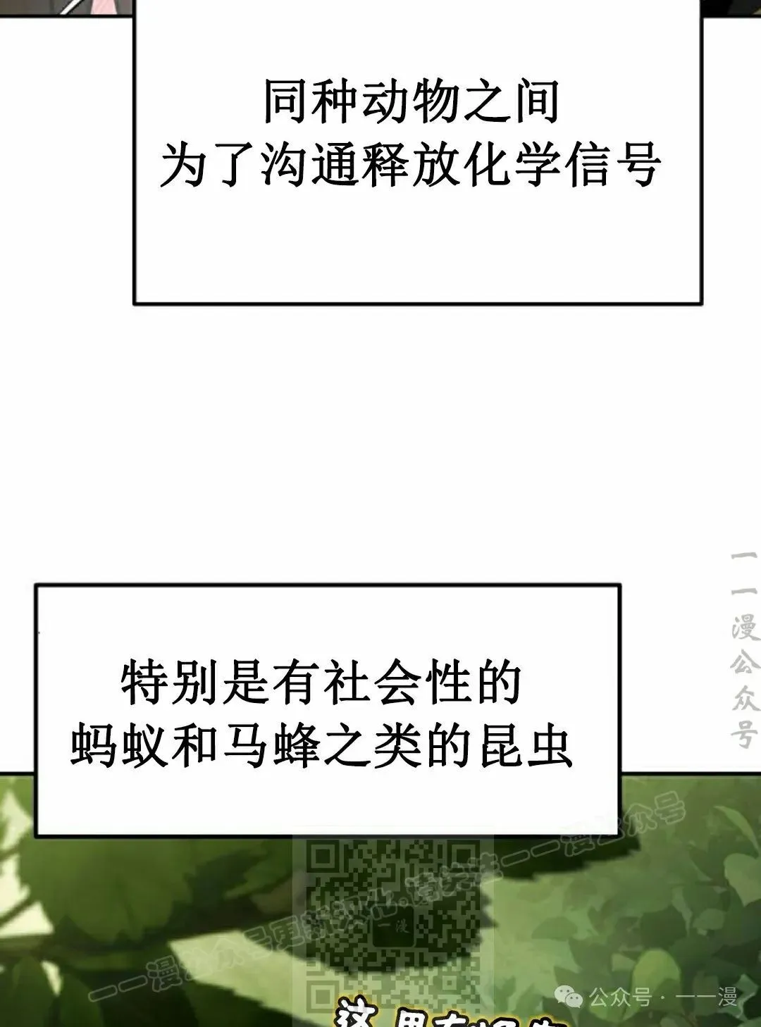 第16集52